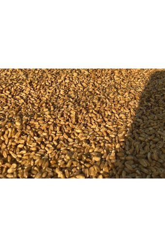 Hoşgör Değirmeni Organik Kısırlık Bulgur 5 kg
