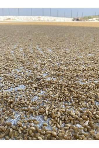 Aslanhan Doğal Kısırlık Bulgur 5 kg
