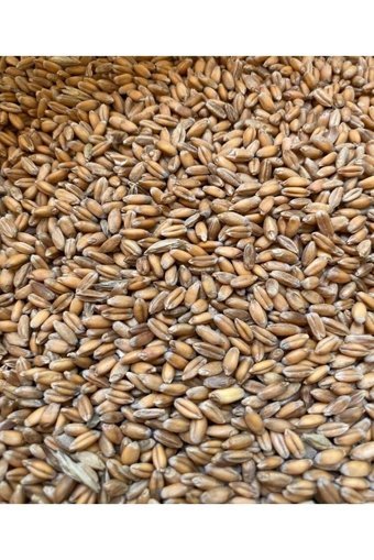 Lezizstore Karakılçık Pilavlık Bulgur 1 kg