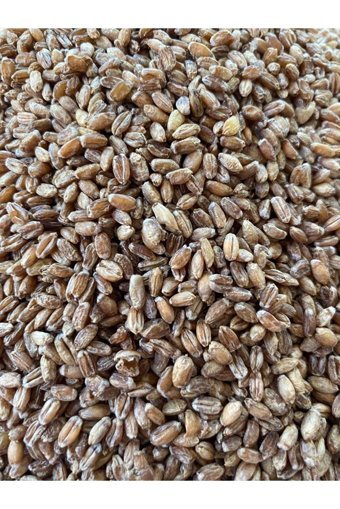 Lezizstore Karakılçık Pilavlık Bulgur 1 kg