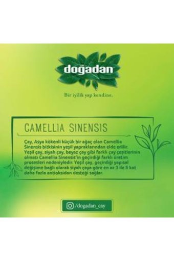 Doğadan Demleme Yeşil Bitki Çayı 100 gr
