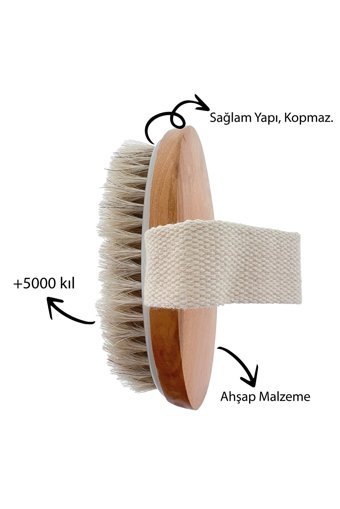 Seay Selülit Giderici Sapsız At Kılı Fırçası