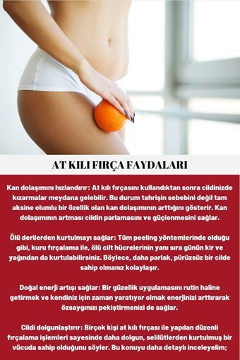 Sheriffs Selülit Giderici Sapsız At Kılı Fırçası