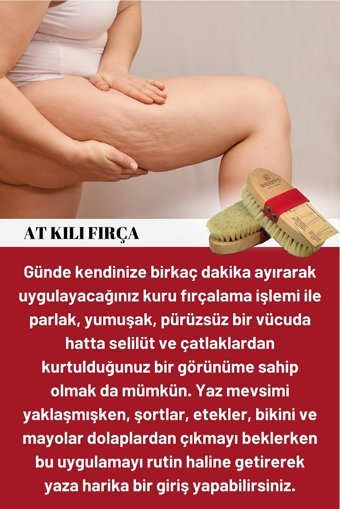 Sheriffs Selülit Giderici Sapsız At Kılı Fırçası