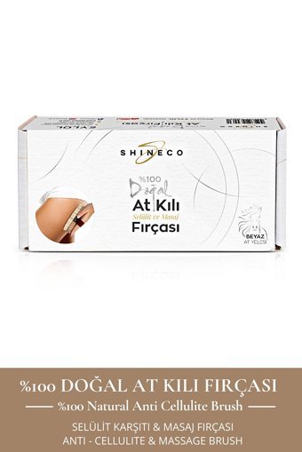 Eylül Kozmetik Selülit Giderici Sapsız At Kılı Fırçası