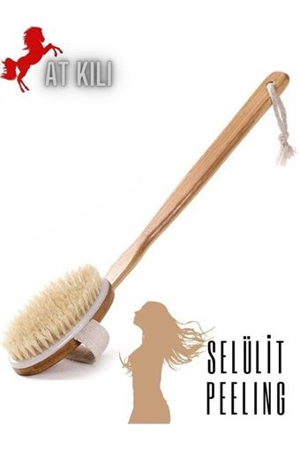 Kaktüskedi Selülit Giderici Saplı At Kılı Fırçası