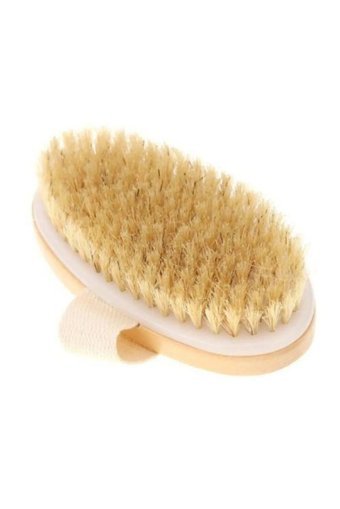 Sesashop Selülit Giderici Sapsız At Kılı Fırçası