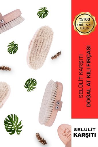Cocos Beauty Selülit Giderici Sapsız At Kılı Fırçası Beyaz