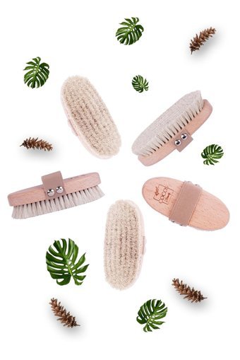 Cocos Beauty Selülit Giderici Sapsız At Kılı Fırçası Beyaz