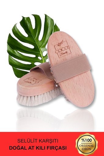 Cocos Beauty Selülit Giderici Sapsız At Kılı Fırçası Beyaz