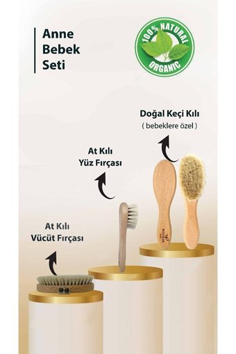 Rostilya Selülit Giderici Saplı At Kılı Fırçası Seti