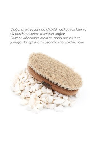 Maryann Cosmetic Selülit Giderici Sapsız At Kılı Fırçası