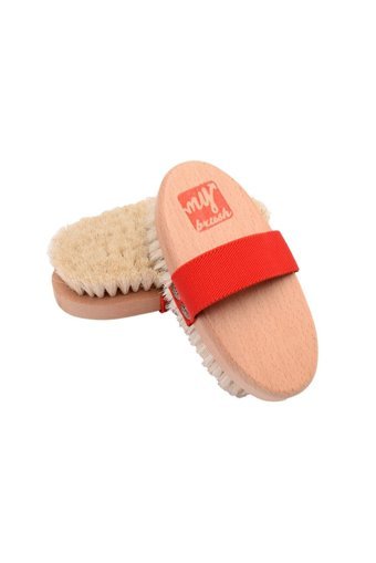 My Brush Selülit Giderici Sapsız At Kılı Fırçası