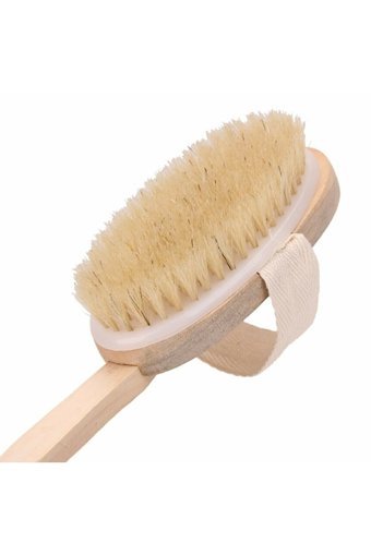 Cephome Selülit Giderici Saplı At Kılı Fırçası
