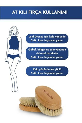 Obrigado Selülit Giderici Sapsız At Kılı Fırçası
