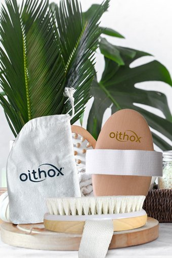 Oithox Selülit Giderici Sapsız At Kılı Fırçası