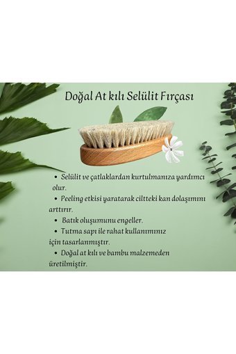 Eratos Selülit Giderici Sapsız At Kılı Fırçası