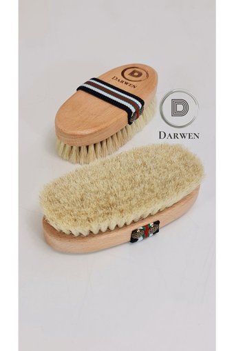 Darwen Selülit Giderici Sapsız At Kılı Fırçası
