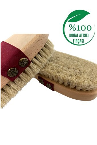 Meg Dry Brush Selülit Giderici Yüz İçin Saplı Sapsız At Kılı Fırçası