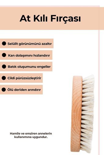 The Touch By Seda Altın Selülit Giderici Sapsız At Kılı Fırçası