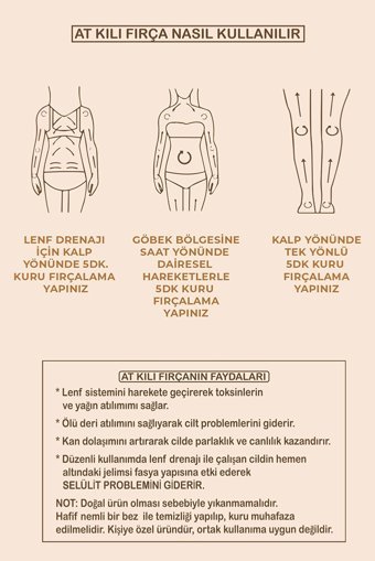 Fleuriste By Gg Selülit Giderici Sapsız At Kılı Fırçası