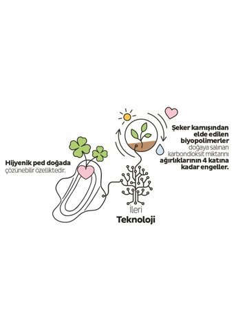 Sleepy Ecologic Organik 64'lü Uzun Günlük Ped