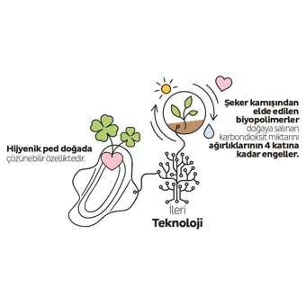 Sleepy Ecologic Premium Plus Organik 32'li Uzun Günlük Ped