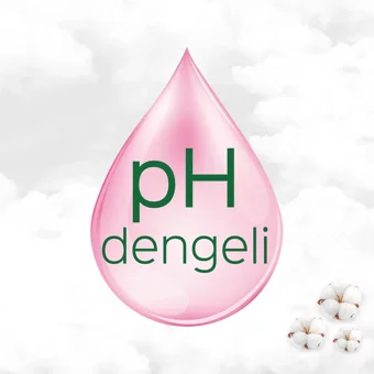 Molped Pure Soft Organik 60'lı Normal Günlük Ped