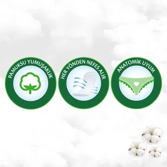 Molped Pure Soft Organik 5 Adet 120'li Normal Günlük Ped