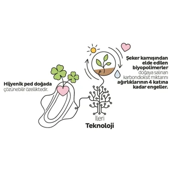Sleepy Ecologic Premium Plus Organik 40'lı Normal Günlük Ped