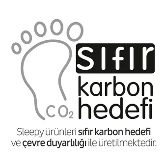 Sleepy Bio Natural Premium Plus Organik 40'lı Normal Günlük Ped