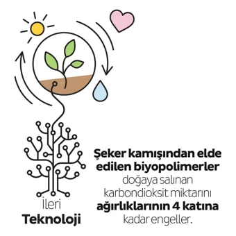 Sleepy Bio Natural Premium Plus Organik 40'lı Normal Günlük Ped