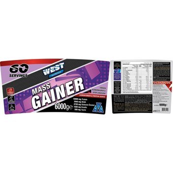 West Nutrition Çilek Aromalı 60 Servis Kilo Aldırıcı Gainer 6000 gr Toz + Shaker