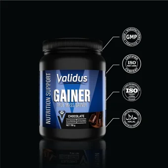 Validus Çikolata Aromalı 7 Servis Kilo Aldırıcı Gainer 700 gr Toz