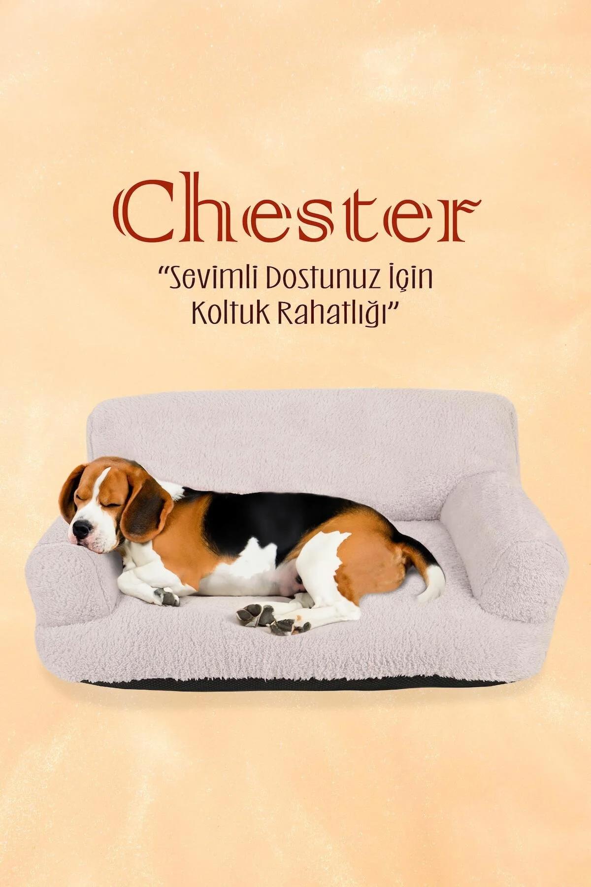 Chester Yıkanabilir Orta Irk İç Mekan Köpek Yatağı Gri