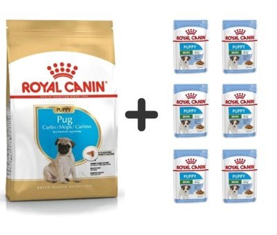 Royal Canin Pug Kümes Hayvanlı Küçük Irk Yavru Köpek Ödül Maması 1.5 kg