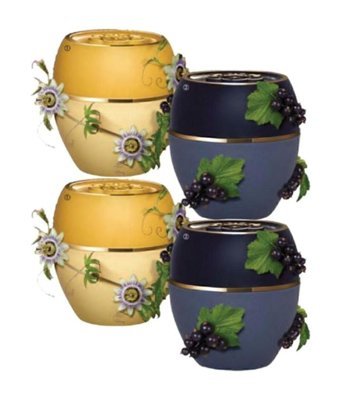 Oriflame Tender Care Çarkıfelek Meyveli-Frenk Üzümlü Yetişkin Dudak Nemlendirici Balm 4x15 gr