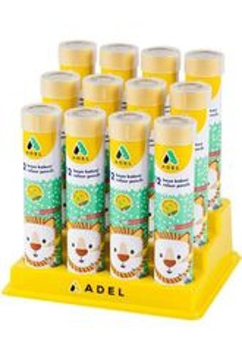 Bic 987868 12'li Kuru Boya Seti