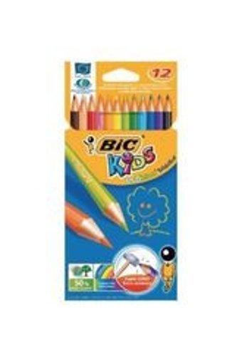 Bic 968491 36'lı Kuru Boya Seti