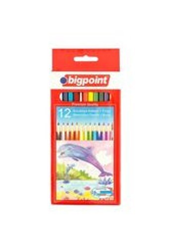 Bigpoint BP941 12'li Kuru Boya Seti