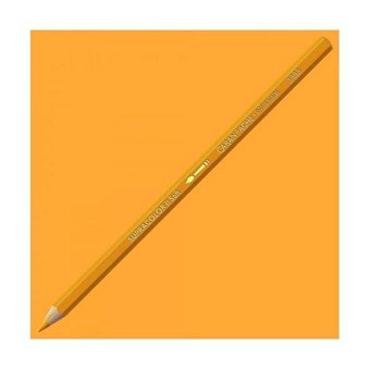 Caran d'Ache Black 496 Tekli Kuru Boya Kalemi