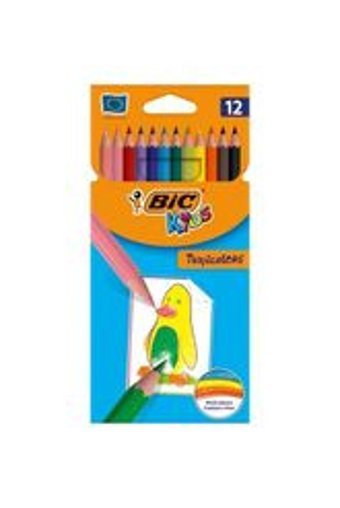 Bic T8052 12'li Jumbo Üçgen Kuru Boya Seti