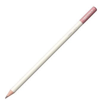 Bic 8575614 12'li Kuru Boya Seti