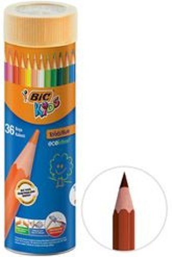 Bic Tropicolor 12'li Kuru Boya Seti