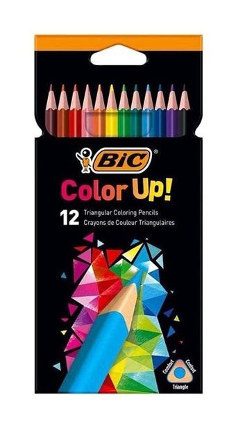 Bic 3270220060963 12'li Kuru Boya Seti