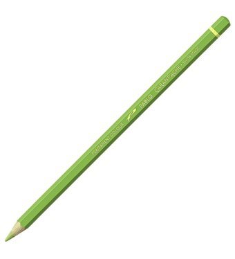 Caran d'Ache Oxide Green 212 Tekli Kuru Boya Kalemi