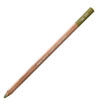 Caran d'Ache Pink 582 Tekli Kuru Boya Kalemi