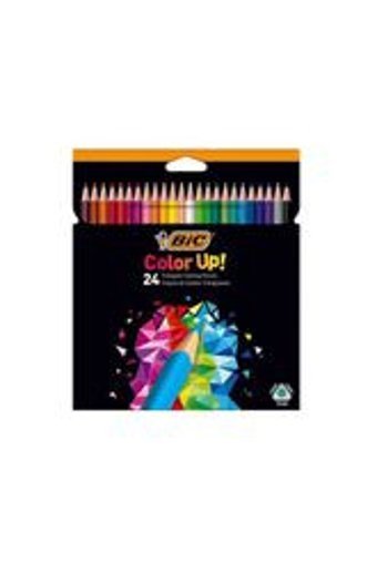 Bic 82902910 12'li Kuru Boya Seti