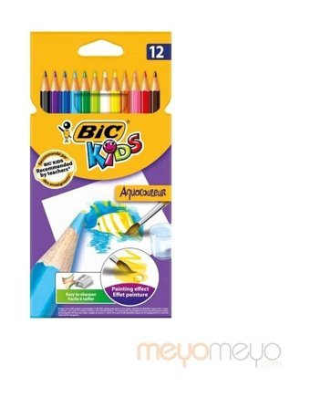 Bic Evol93 12'li Kuru Boya Seti