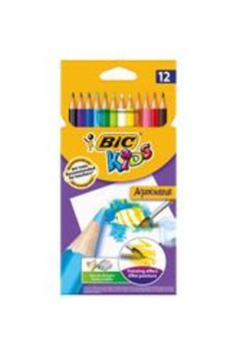 Bic 28'li Kuru Boya Seti